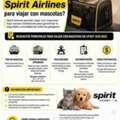 ¿Cuáles Son Los Requisitos De Spirit Airlines Para Viajar Con Mascotas?