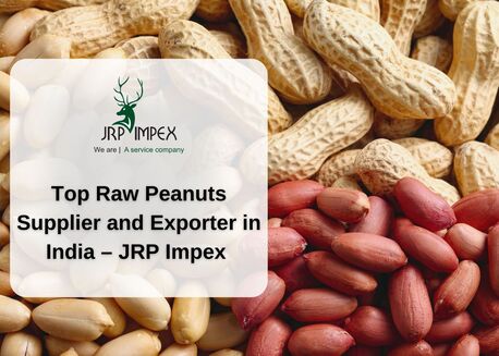 Ahmedabad, Food, JRP Impex &ndash; Raw Peanuts Supplier & Exporter In India