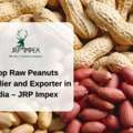 JRP Impex &ndash; Raw Peanuts Supplier & Exporter In India