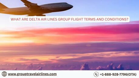 New York, Travel, What Are Delta Air Lines Group Flight Terms And Conditions?