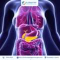 Leading HPB Cancer Specialist In Ahmedabad - Dr. Dhaval Patel