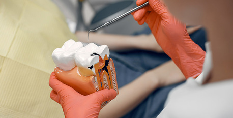 Gurgaon, Dental, Top Dentist In Gurgaon - Dr. Manoti Sehgal