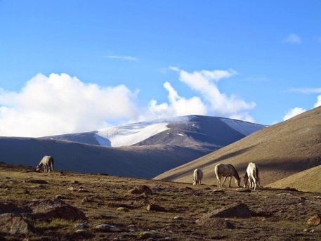 New Delhi, Travel, Discover Ladakh&rsquo;s Hidden Gem- Trekking In Markha Valley