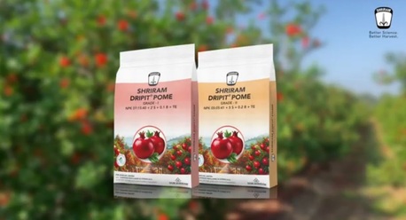 Mumbai, Farm/Garden, Shriram DripIT &ndash; Drip Nutrition For Pomegranate Farming