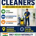 Cleaning Worker