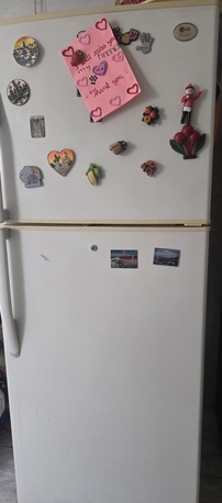 Riyadh, Appliances, SAR 750,  Refrigerator LG LG GR-432BF  430 L