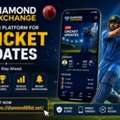 Diamond Exchange Trends And Growing Interest In Cricket Communities