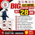 Big Pest Control Package Offer - Only 17 BHD Call Now