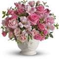 Beautiful New Baby Flowers In Manassas For Growing Families