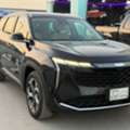 Jeely Starray,  2024,  Automatic,  70 KM,  Jelly Starray . Like New