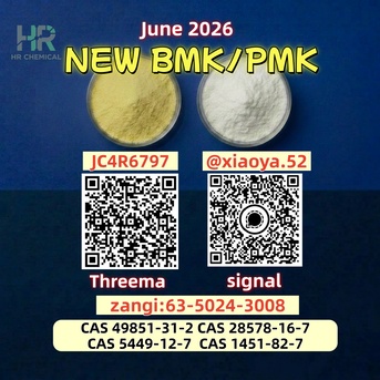 Berlin, Wholesale Products, For Sale: Cas 28578-16-7 BMK Powder Cas 5449-12-7 PMK