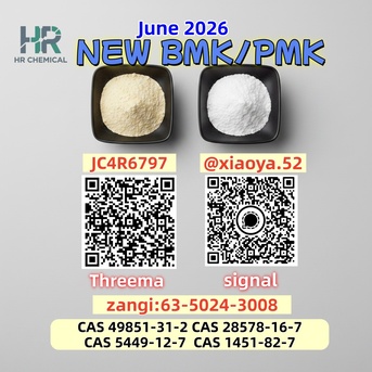 Berlin, Wholesale Products, For Sale: Cas 28578-16-7 BMK Powder Cas 5449-12-7 PMK