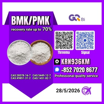 Tirana, Books, ALL 100,  BMK/PMK Extraction Rate Up To 70%-CAS:28578-16-7//CAS:5449-12-7