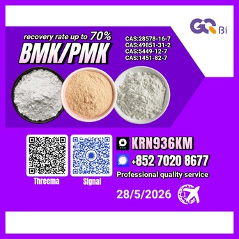 Algiers, Books, DZD 100,  BMK/PMK Extraction Rate Up To 70%-CAS:5449-12-7//CAS:28578-16-7