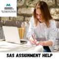 SAS Assignment Help &ndash; Expert Statistical Analysis Support For Students