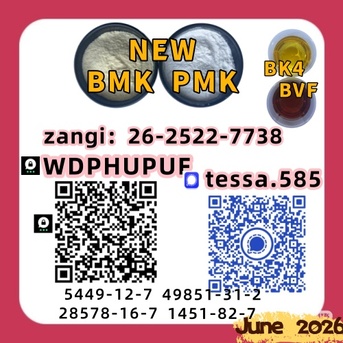Hong Kong, Materials, CNY 100,  CAS 5449-12-7 Glycidic Acid Sodium Salt BMK Powder 28578-16-7 PMK  Analytical Reagents Sup