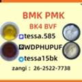 Cas 28578-16-7 PMK Glycidate Powder C13h14o5 Fast Shipping White High Yield