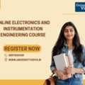 Future-Proof Your Automation Career: Online Electronics And Instrumentation Engineering Co
