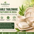 Trusted Manufacturer Of Biodegradable Bagasse Products