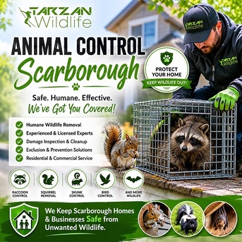 Mississauga, Pest Control, Animal Control Scarborough