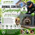 Animal Control Scarborough