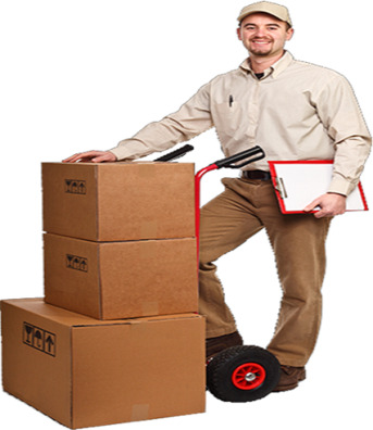 Jaipur, Pick Up & Drop Off, Shree Packers Movers