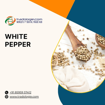Lucknow, Food, INR 2,  Buy White Pepper In Bulk: Top White Pepper Exporters, Importers & Suppliers 2026