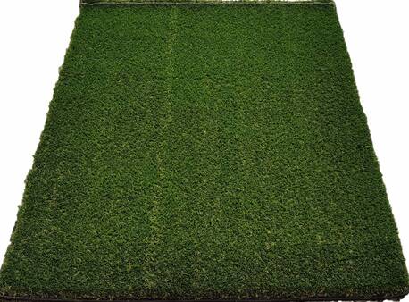 Sydney, Farm & Garden, AUD 1000,  Artificial Lawn In Batemans Bay