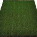 AUD 1000,  Artificial Lawn In Batemans Bay