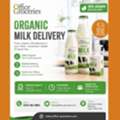 Organic Milk Delivery For Offices | Office Grocerie