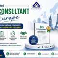 BIS Consultant In Europe