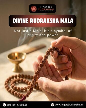 Kolkata, Health & Beauty Items, Rudraksha Shop In Kolkata
