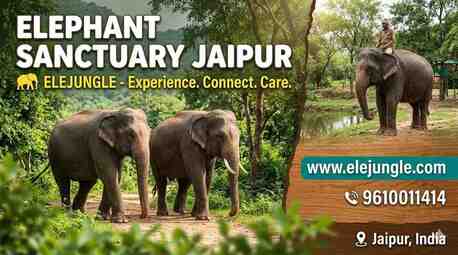 Jaipur, Travel, Discover Jaipur&rsquo;s Most Ethical Elephant Sanctuary