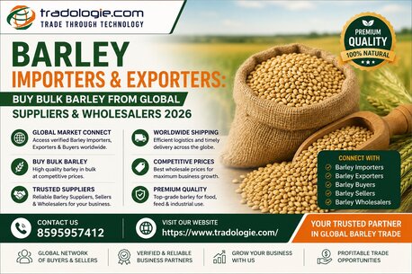Lucknow, Food, INR 2,  Barley Importers & Exporters: Buy Bulk Barley From Global Suppliers & Wholesalers 2026