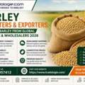 INR 2,  Barley Importers & Exporters: Buy Bulk Barley From Global Suppliers & Wholesalers 2026