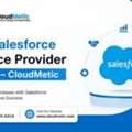 Top Salesforce Service Provider In USA &ndash; CloudMetic