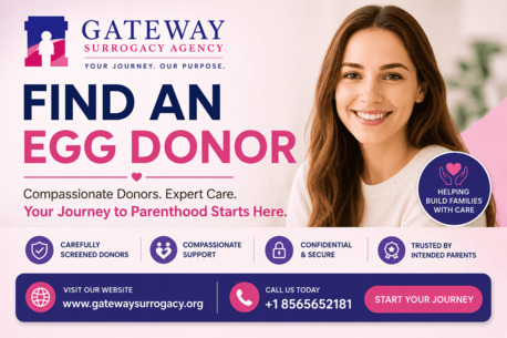 New York, Health, Best Surrogate Mother Agencies For Intended Parents