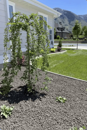 New York, Household, Sprinkler System Installation St George | Shepherd Landscape