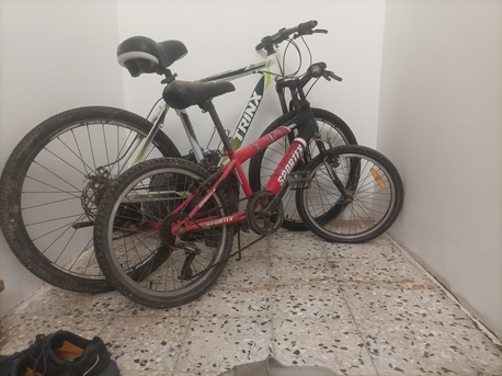 Yanbu, Bicycles, SAR 700,  One Kids And One Men