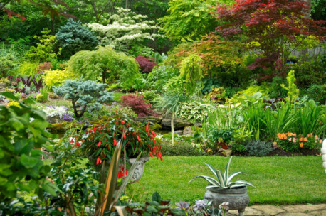 Sydney, Household, Active Landscaping