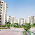 Flats Under 50 Lacs In Noida Extension