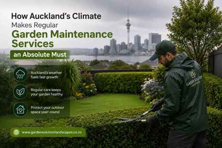 Auckland, Farm/Garden, How Auckland