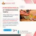 Trusted Pitru Dosh Pooja At Trimbakeshwar Temple By Rakesh Tripathi
