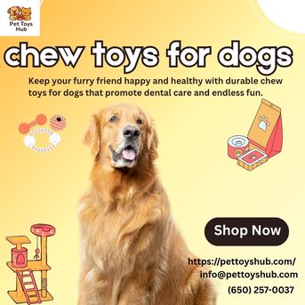 San Francisco, Pet Sitting, Small Pet Toys | Fun & Safe Small Animal Pet Toys For Every Pet Size