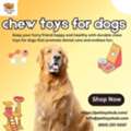 Small Pet Toys | Fun & Safe Small Animal Pet Toys For Every Pet Size