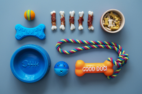 San Francisco, Pet Sitting, Small Pet Toys | Fun & Safe Small Animal Pet Toys For Every Pet Size