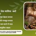Ayurvedic Clinic In Alambagh | Trusted Ayurvedic Care