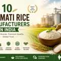 Basmati Rice Manufacturers In India | Premium Quality Rice - Tasty Grain