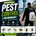 🐜 Best Cockroach & Insect Control Experts