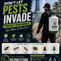 🏠 Reliable Home Pest Control In Jeddah
